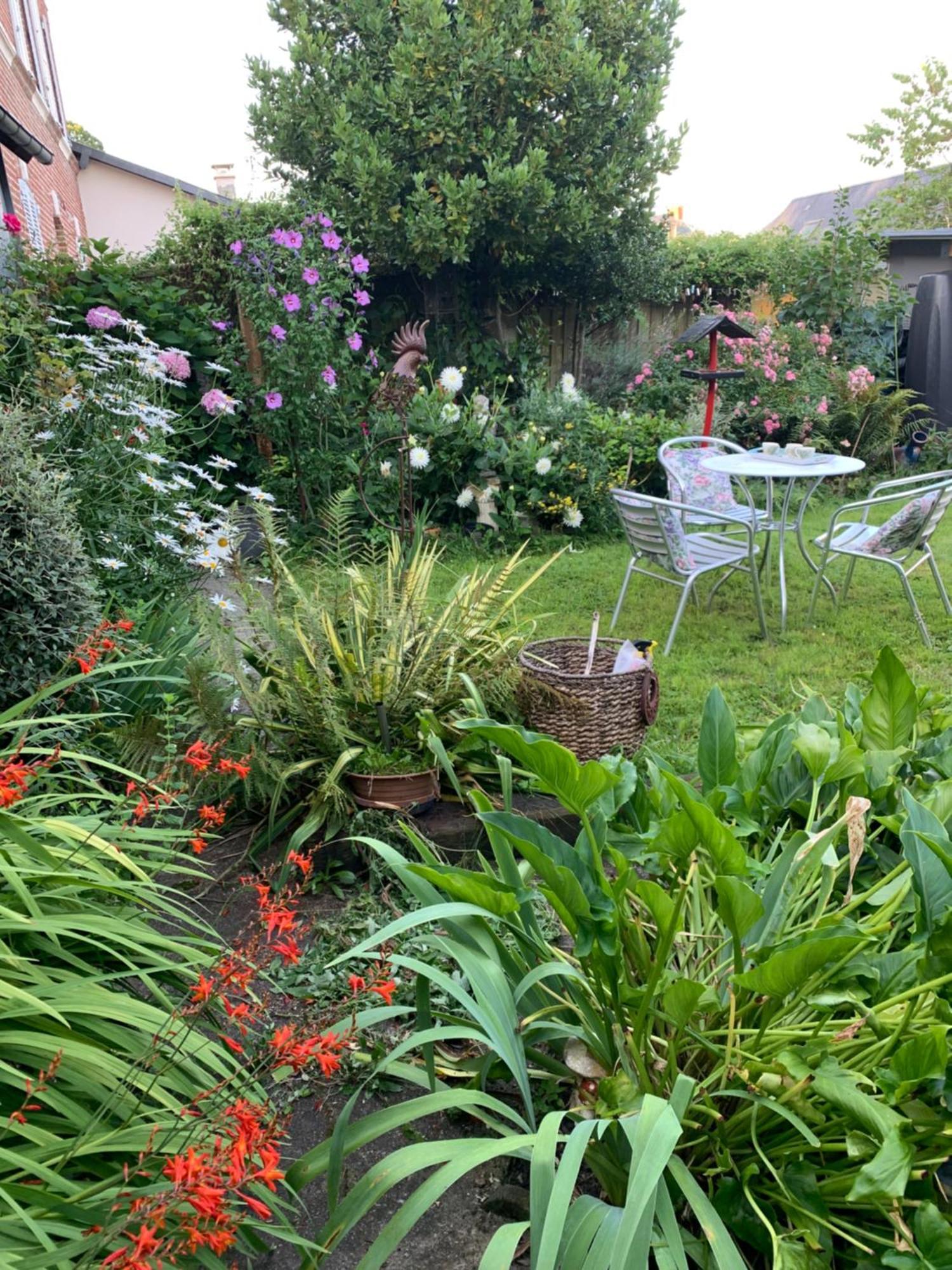 Bed and Breakfast Dom'S Garden Livarot-Pays-d'Auge Esterno foto